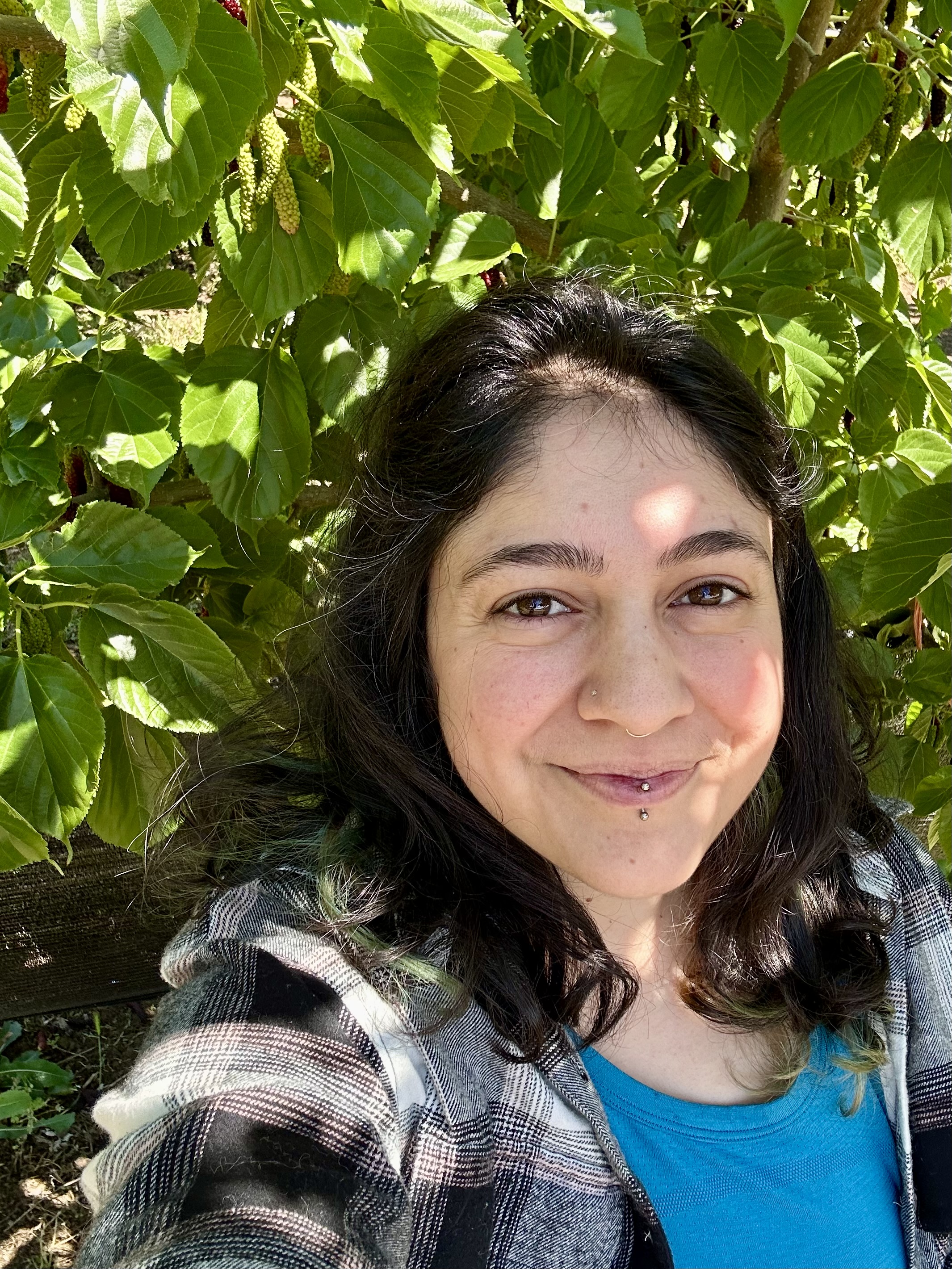 Vesta Javaheri