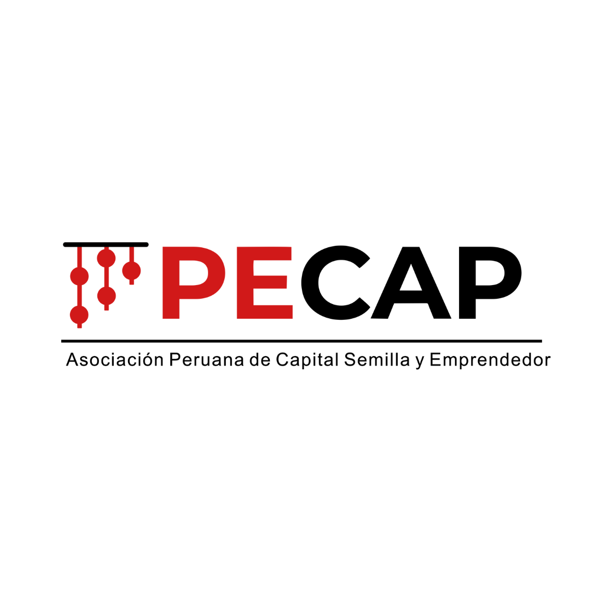 Comunicaciones PECAP