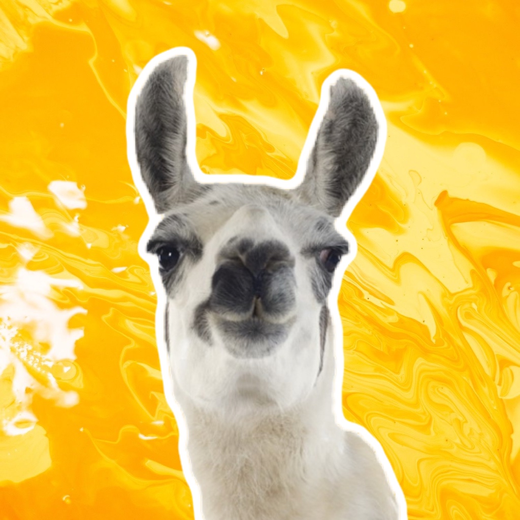 Epic Llama