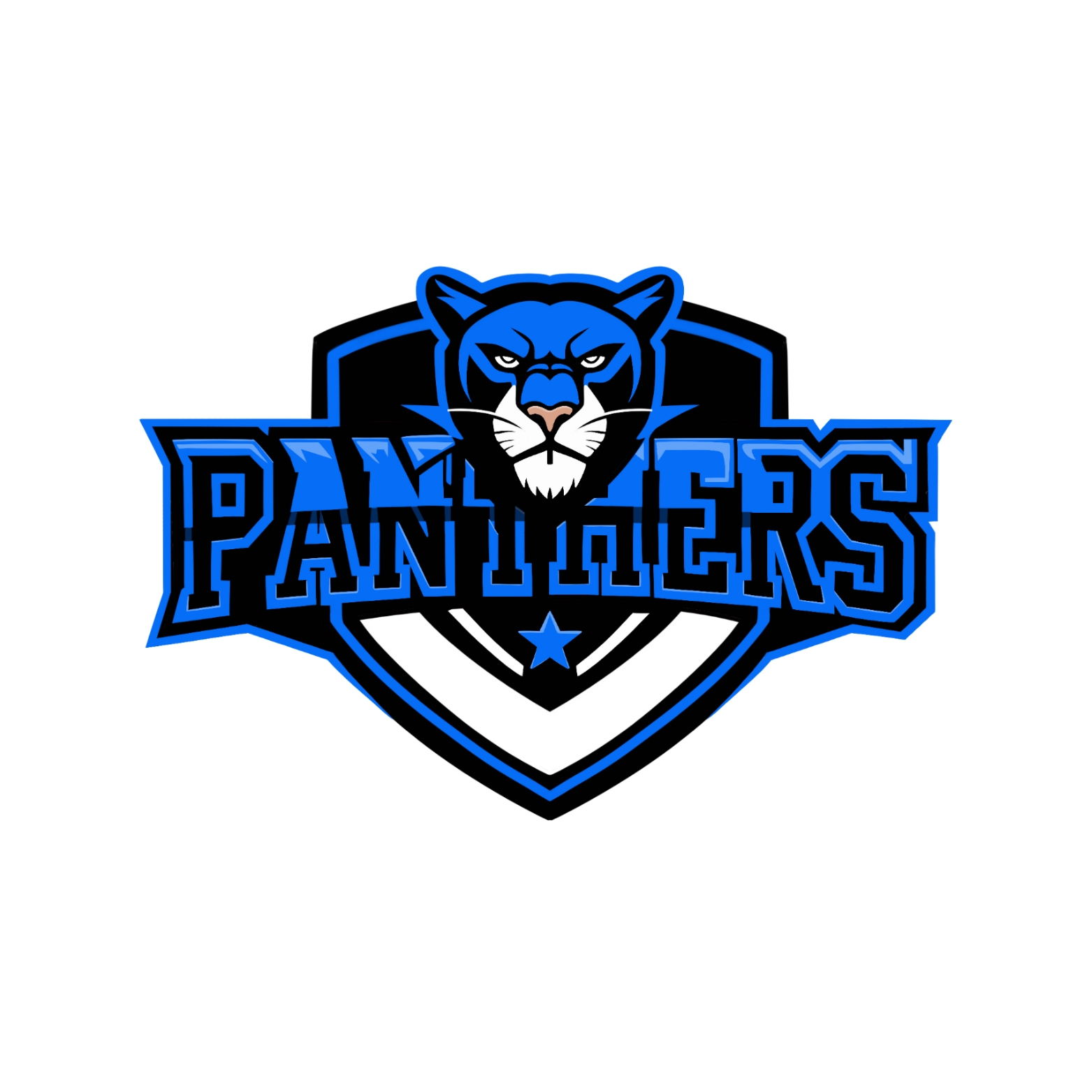 Panthers Basketball