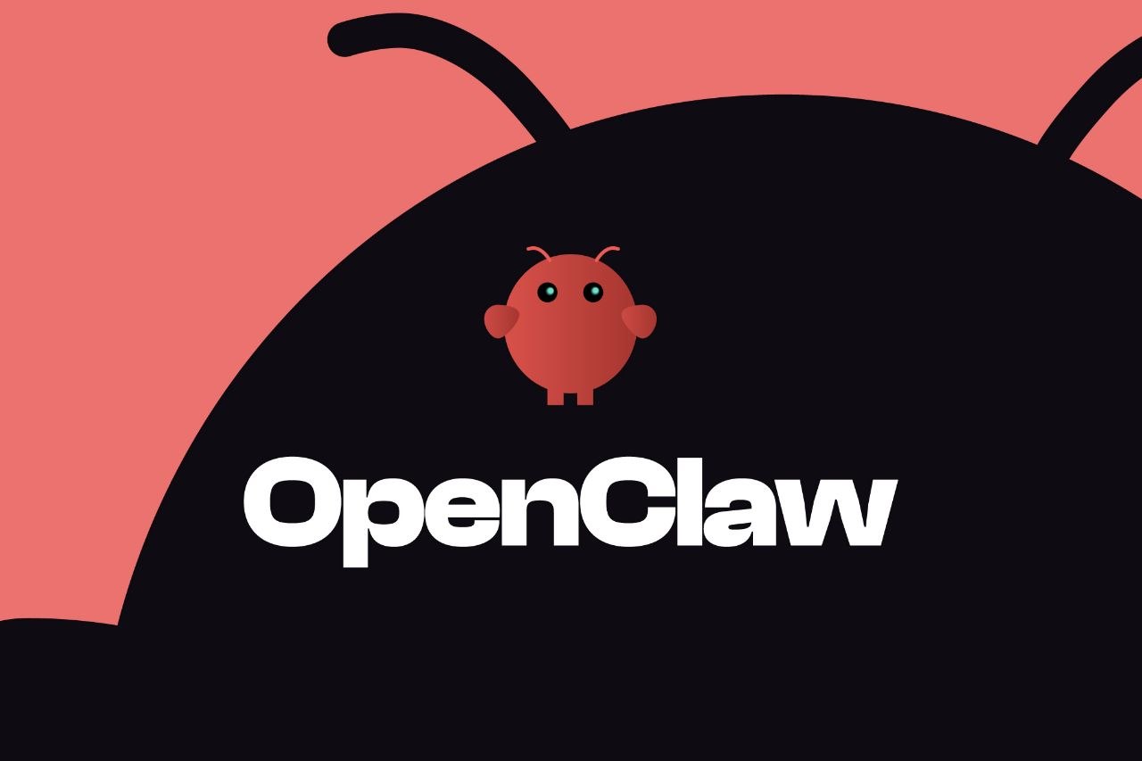 OpenClaw India