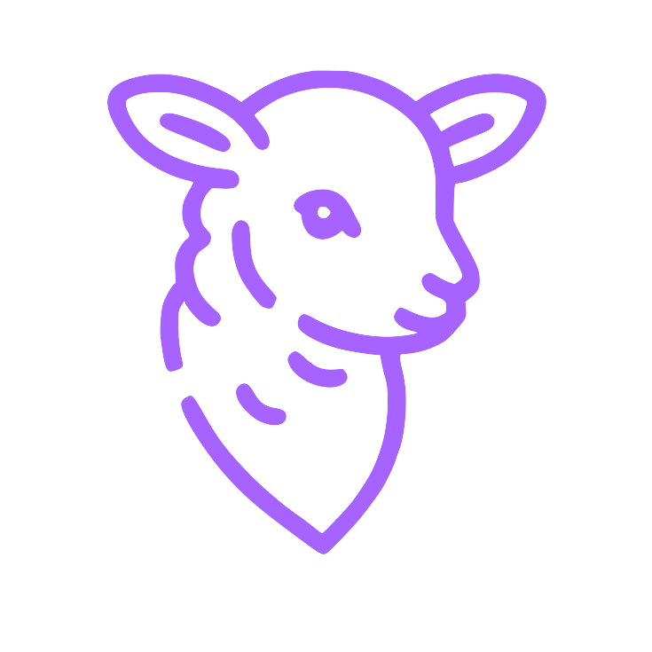 Boundary logo