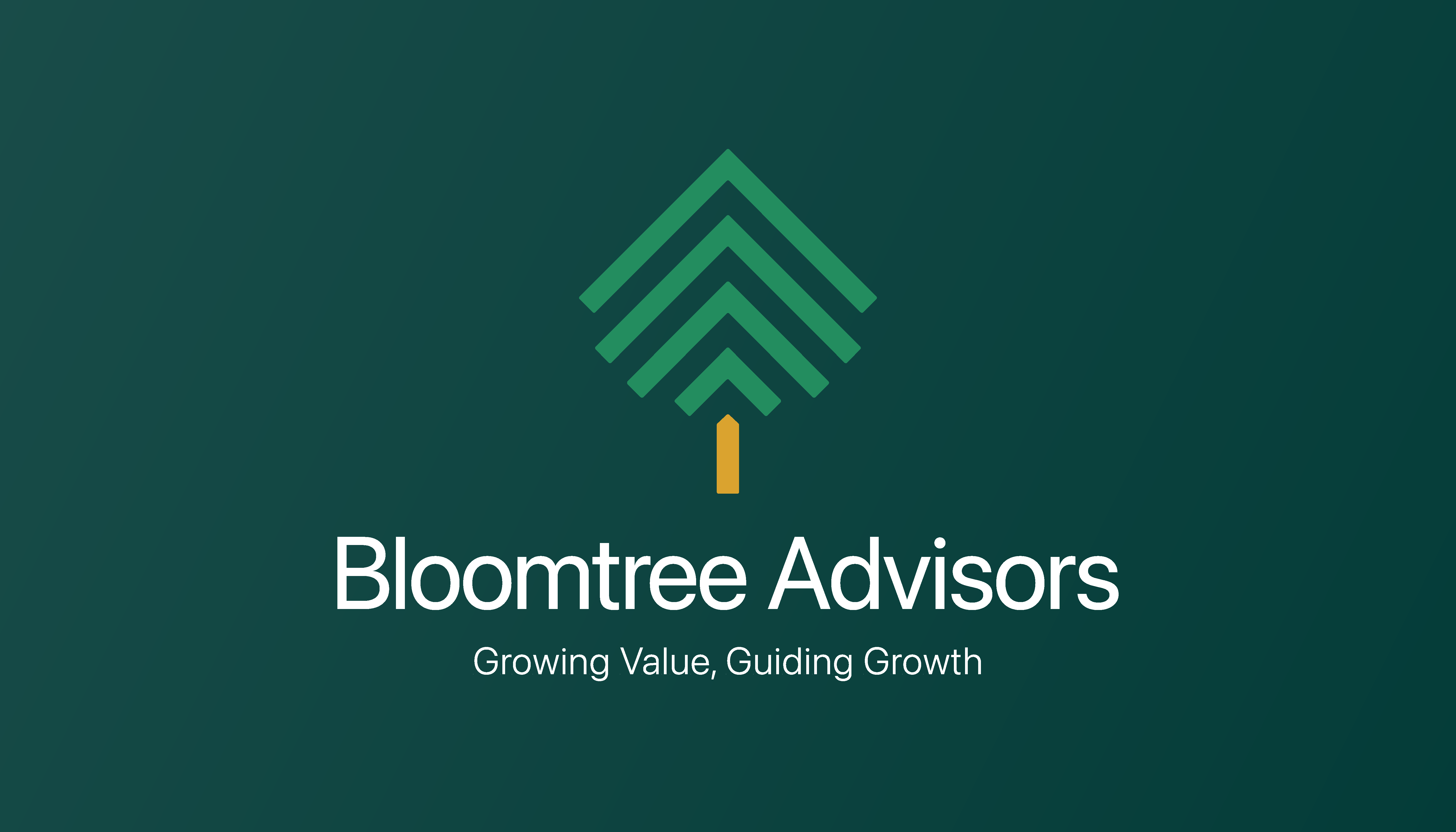 Bloomtree Business Advisors