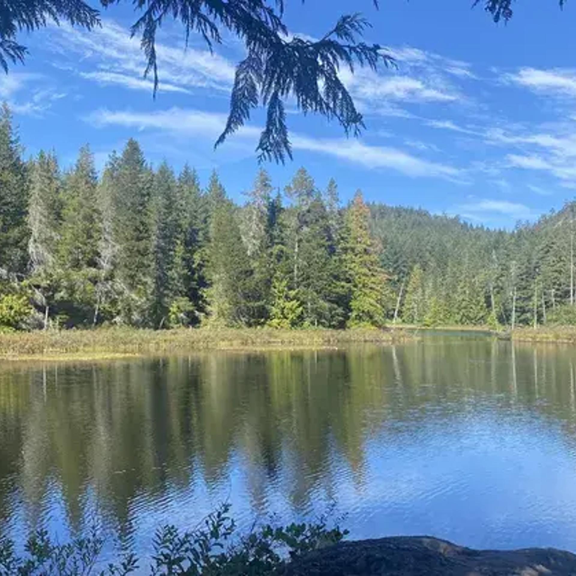 Grass Lake Trail + Swim