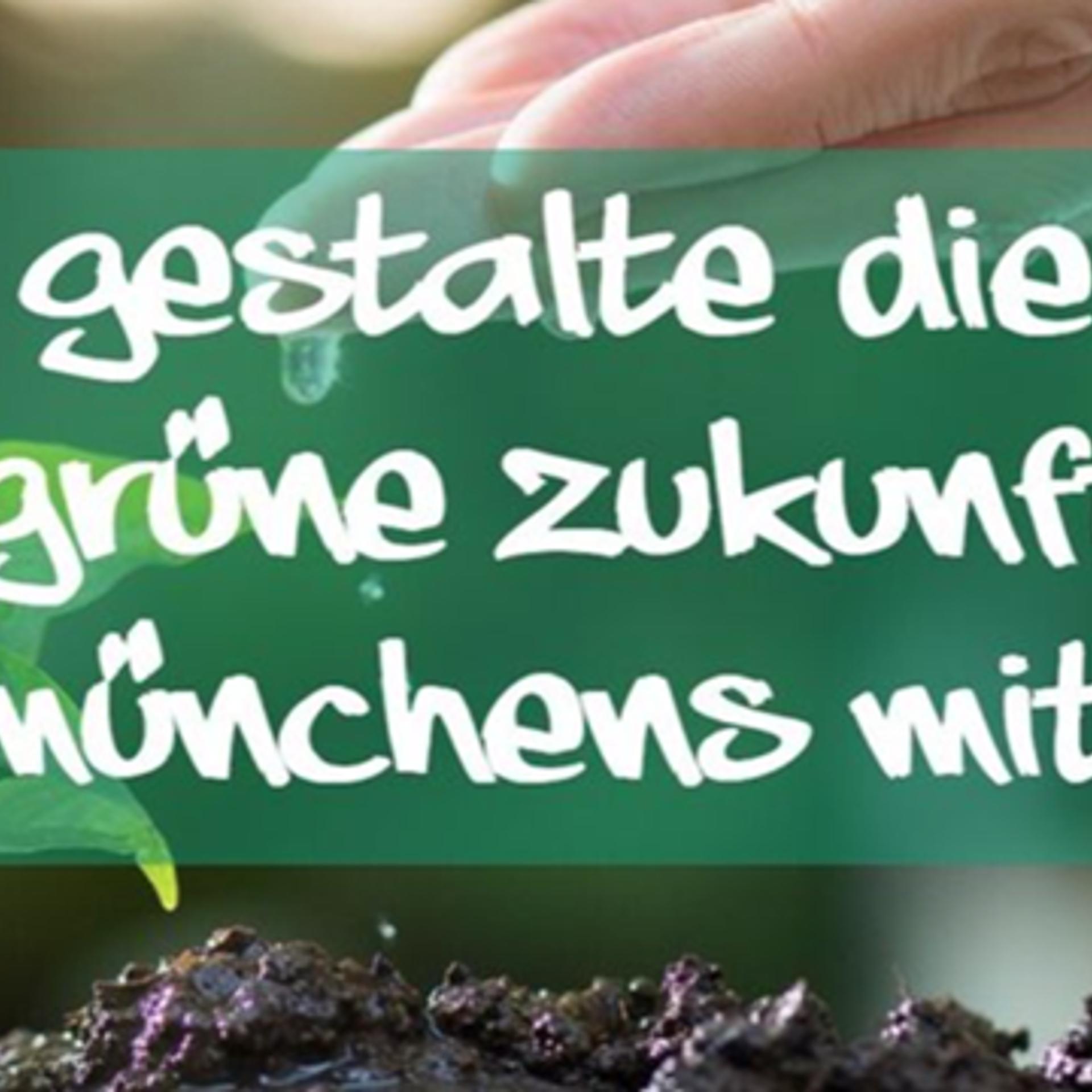 🌳🌿 Gemeinsam pflanzen - unsere grosse Herbst-Pflanzaktion!