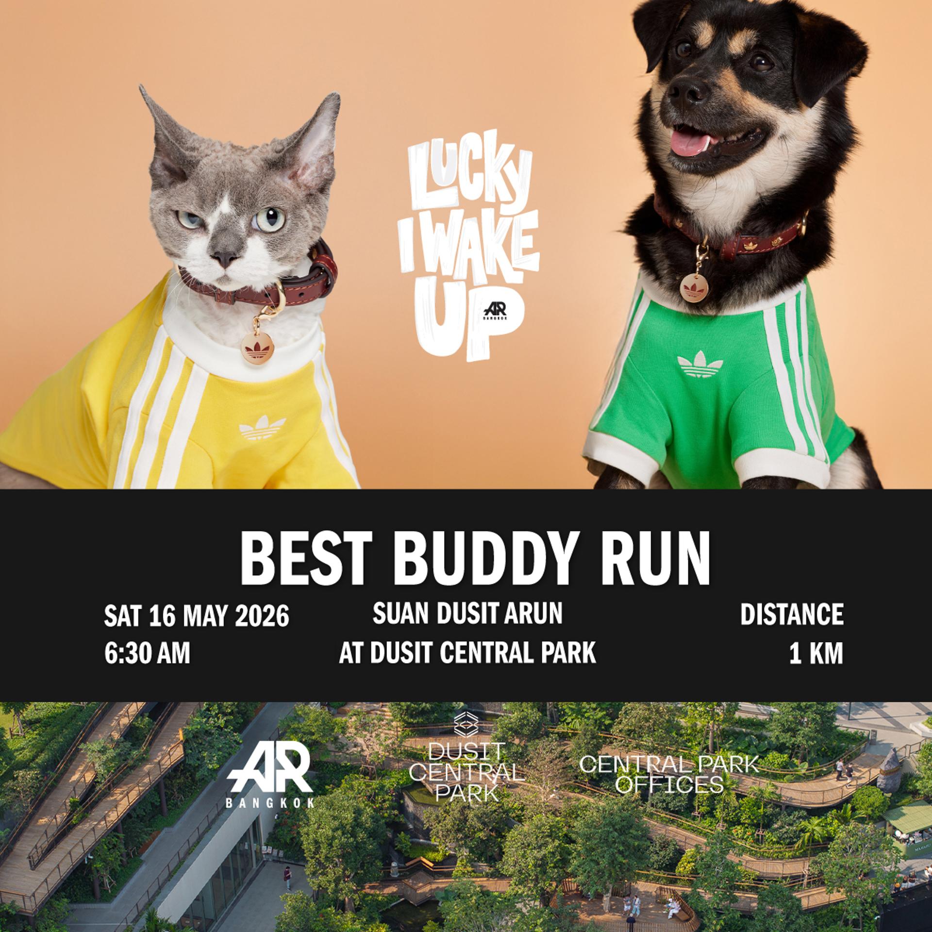 Best Buddy Run