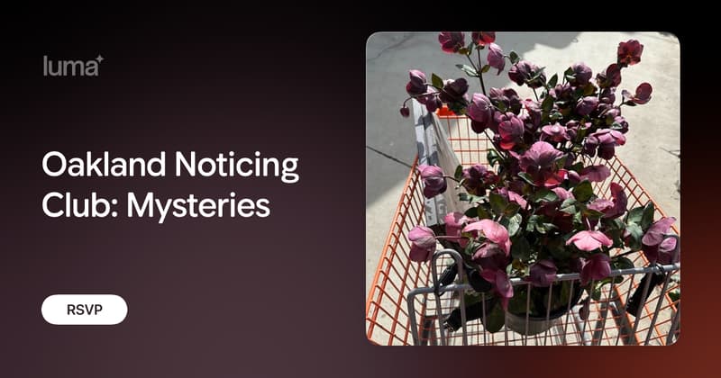 Oakland Noticing Club: Mysteries