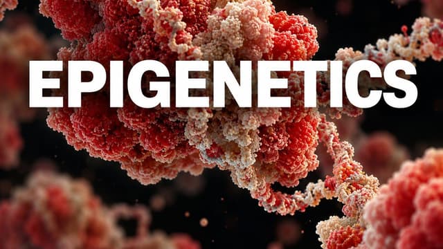 Epigenetics – How environment and lifestyle shape your biology