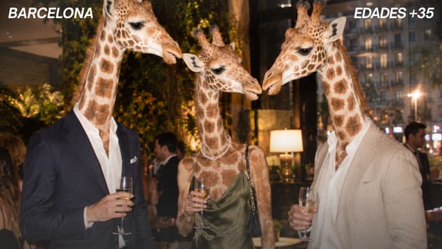 Tall People Tardeo 40+ │ Ed. 2 🦒