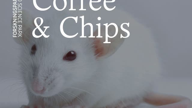 Coffee & Chips: BrainChip - Neurotechnology to decode and manipulate sleep in real time