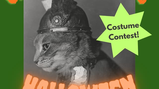 Halloween and Anniversary Party