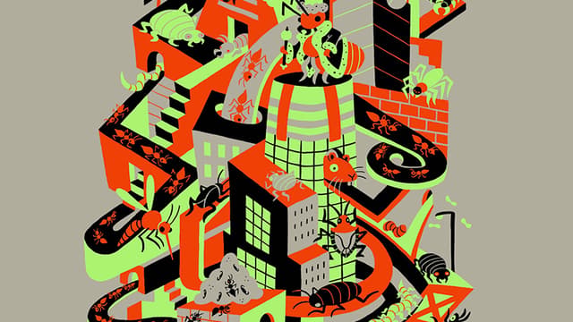 City Creatures: Evening Ticket