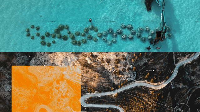 Reading & Writing the Planet