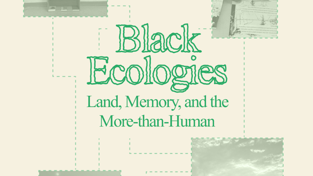 Black Ecologies: Land, Memory, and the More-than-Human