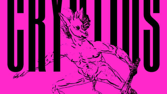 Play 10: CRYPTIDS