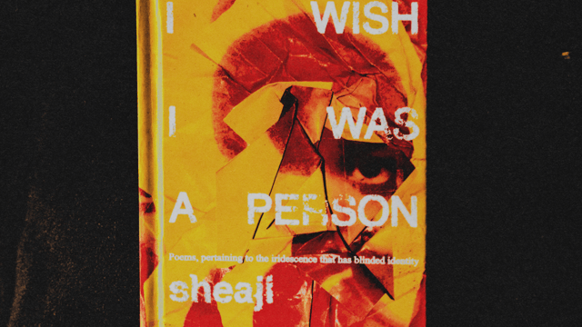 "I Wish I Was A Person" Release Party