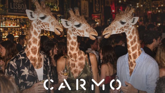 Tall People Night in Lisbon 🦒🇵🇹