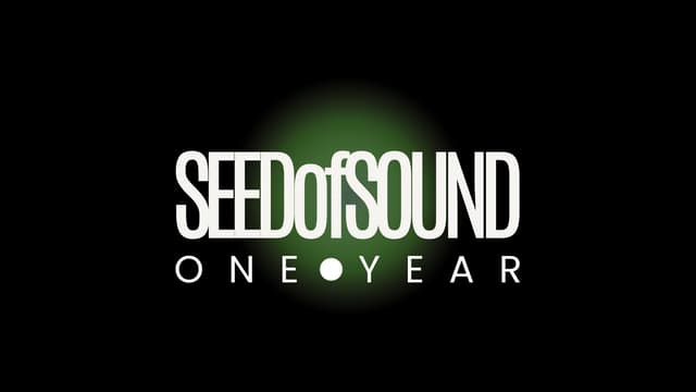 SEEDofSOUND: One Year