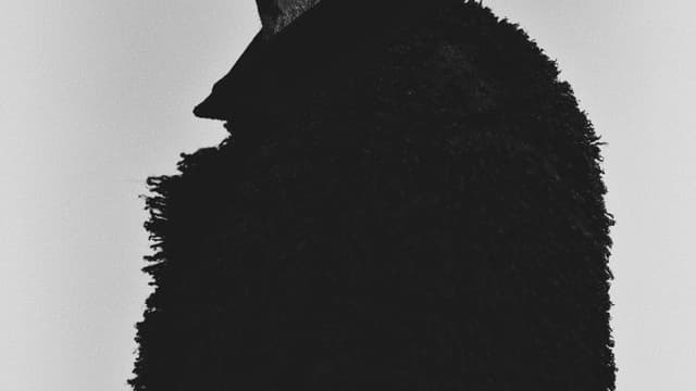The Art of Noise – Part One