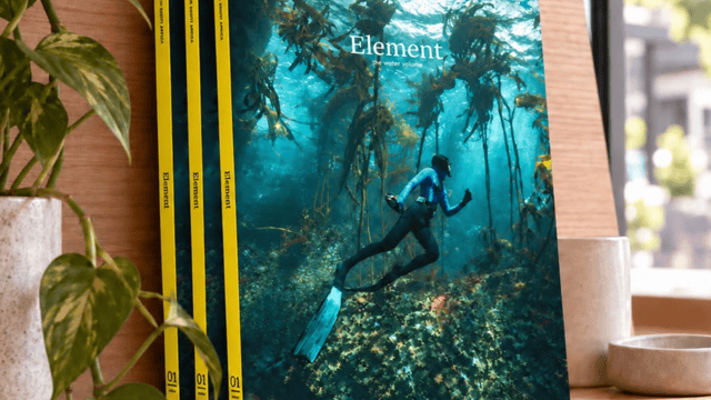 ELEMENT — THE MAKING OF A NEW MAGAZINE
