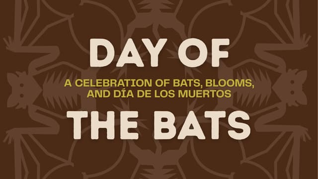 Day of the Bats: Welcoming Bat Conservation International to DSI