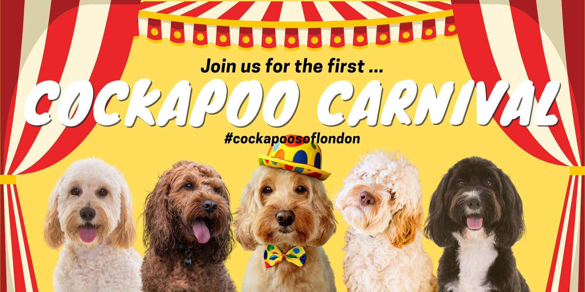 Cockapoo Carnival · Luma