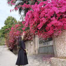 Profile picture for StellaXiao