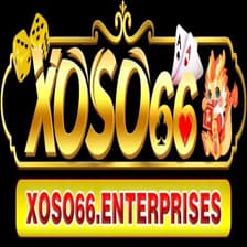Profile picture for Xoso66 enterprises