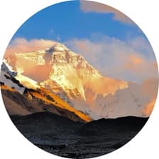 Profile picture for Tenzin Diki