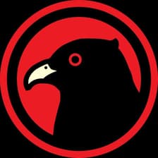 Profile picture for Koyal AI