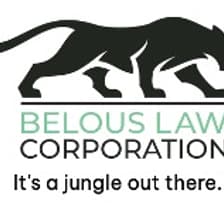 Profile picture for Belous Law