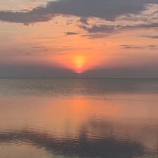 Profile picture for Ania Szczesniewski