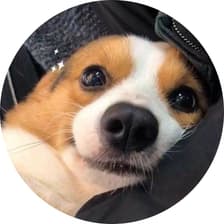 Profile picture for Wichaya