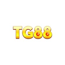 Profile picture for TG TG88