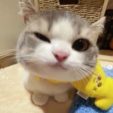 Profile picture for Katherine (Katie) Zhong