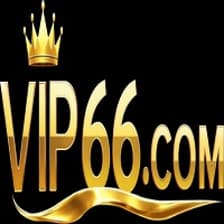 Profile picture for Vip66 training