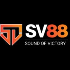 Profile picture for SV88