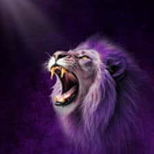 Profile picture for Team RLOE