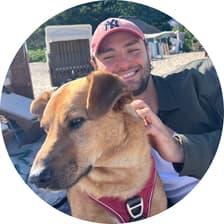 Profile picture for Peter Bogdanov