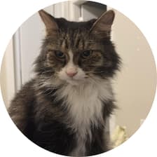 Profile picture for Simon Luke
