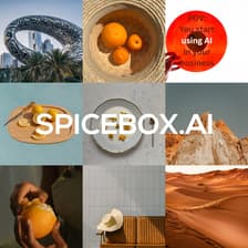 Profile picture for Spicebox AI