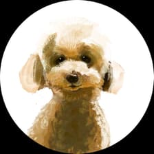 Profile picture for 古川　佑梨