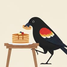 Profile picture for Madison Karas