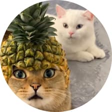 Profile picture for Tony