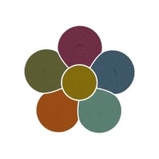 Profile picture for Aksis Indigenous Business and Professional Association