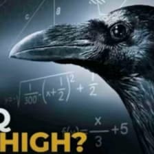 Profile picture for John Ezekiel Escueta