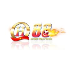 Profile picture for QH88 VFS
