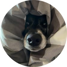 Profile picture for Aleksandra Los