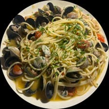 Profile picture for Yara Sudijono