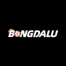 Profile picture for Bongdalu wales